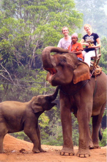 Elephant Ride