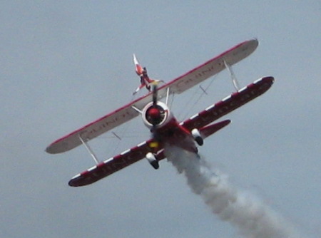 Wing Walker