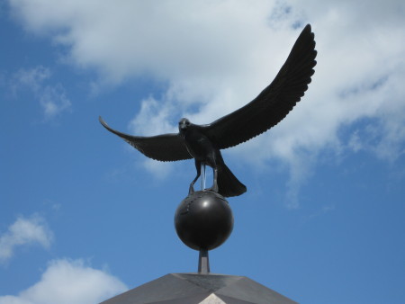 Hayward Gallery Seagull